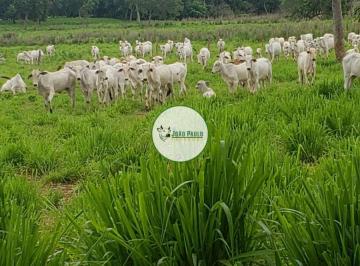 Rural , Unaí · Fazenda a venda em Unaí-MG - 368 Hectares - topografia PLANA - Casa sede