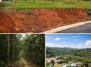 Terreno , Santa Isabel · Terreno à venda 1.067M² – Reserva do Ibirapitanga | Santa Isabel/SP