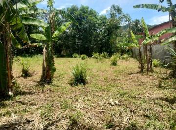 Rural , Bertioga · Chácara em Bertioga - Condomínio Parque Caiubura