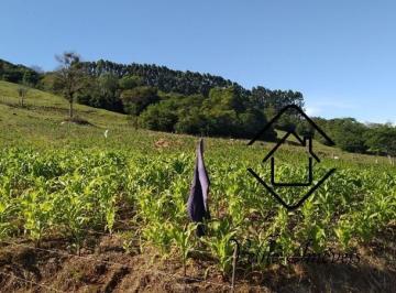 Foto 01 · Fazenda, Santo Antonio da Patrulha, Santo Antônio da Patrulha, RS