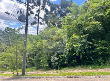 Foto 01 · Terreno à Venda Linha Imperial Nova Petrópolis | 426m² Junto à Natureza | Lote Residencial Seguro e 