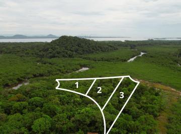 Foto 01 · Area, Reta, São Francisco do Sul, SC