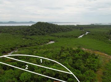 Foto 01 · Area, Reta, São Francisco do Sul, SC