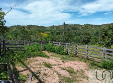 WhatsApp Image 2026-01-21 at 14.40.59 (3).jpeg · TABOQUINHA GO - FAZENDA