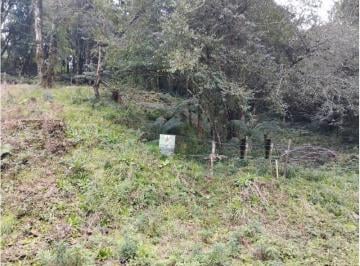 Terreno · Terreno à venda com 612,80 m² – Bairro Vila Maggi, Canela/RS
