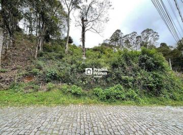 Terreno · 1000m² · Terreno em Santa Elisa, Nova Friburgo/RJ de 0m² à venda por R$ 500.000,00