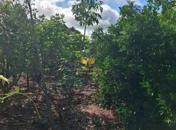 i1.jpg · VENDE SE TERRENO DE 20.400 m² FRENTE ROD. ELIEZER MONTENEGRO MAGALHÃES ARAÇATUBA SP