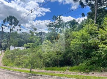 Foto 01 · Terreno à Venda Linha Imperial Nova Petrópolis | 426m² Junto à Natureza | Lote Residencial Seguro e 