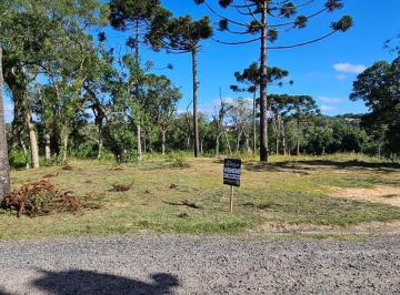 Foto 01 · Terreno, Cruzeiro, Rio Negrinho, SC