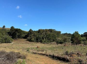 Rural , Almirante Tamandaré · Chácara à Venda – 27.000 m² | Juruqui – Almirante Tamandaré