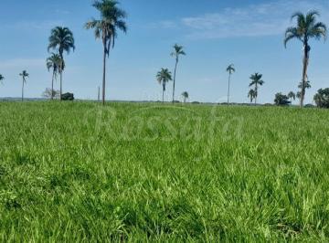 Rural · 39300m² · Sítio em Três Fronteiras/SP