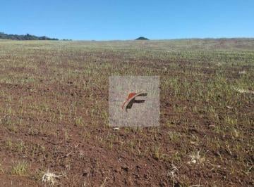 cb9fb9bd71bc6bec04b01e5e7a47a757600ff195 · Fazenda à venda, 28 alqueires por R$ 2.600.000 - Zona Rural - Quitandinha/PR