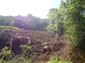 Comercial · 4ha · Area, Morro da Fome, Nova Petrópolis, RS