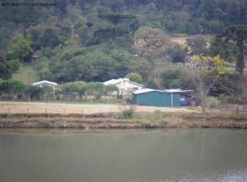 Vista propriedade · Sitio, Linha Imperial, Nova Petrópolis, RS