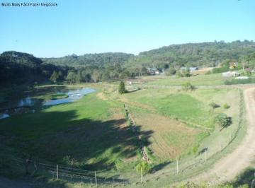 Foto 01 · Area, Linha Imperial, Nova Petrópolis, RS
