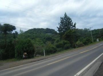 Comercial · 6467m² · Area, Piá, Nova Petrópolis, RS