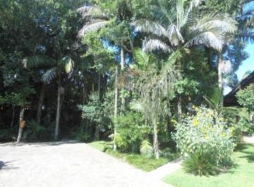 Árvores da propriedade · Casa, Piá, Nova Petrópolis, RS