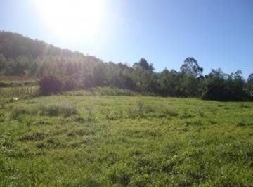 Comercial · 5ha · Area, Linha Nova, Linha Nova, RS