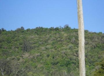 Comercial · 7ha · Area, Linha Temerária, Nova Petrópolis, RS