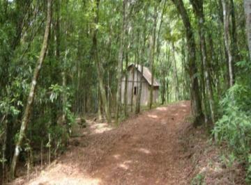 Comercial · 6ha · Area, Fazenda Pirajá, Nova Petrópolis, RS