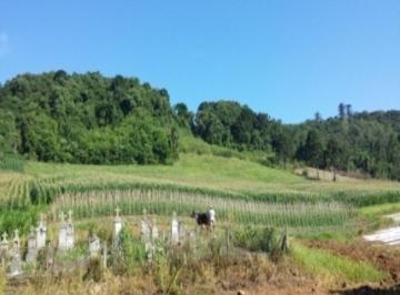Comercial · 20ha · Area, Linha Brasil, Nova Petrópolis, RS
