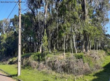 Foto 03 · Terreno, Vila Germânia, Nova Petrópolis, RS