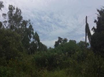 Vista área dos terrenos · Área para Incorporação à Venda na Pousada da Neve Nova Petrópolis | 3.019m² para Prédio ou Casas Gem
