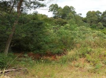 Terreno · 450m² · Terreno à Venda na Pousada da Neve Nova Petrópolis | 450m² Pronto para Construir em Rua Sem Saída