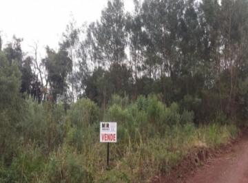 Frente área · Area, Fazenda Pirajá, Nova Petrópolis, RS