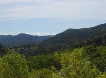 Comercial · 7ha · Area, Lichthenthal, Picada Café, RS
