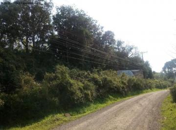 Foto 03 · Terreno, Linha Imperial, Nova Petrópolis, RS