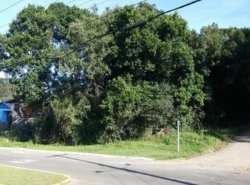 Vista terrenos · Terreno, Centro, Nova Petrópolis, RS