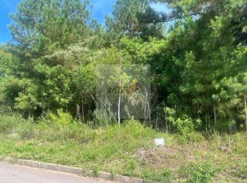 Foto 01 · Terreno 1.234m² Nova Petrópolis | Linha Imperial | Amplo e Pronto para Construir