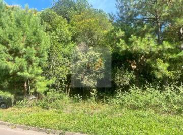 Foto 01 · Terreno 1.286m² Nova Petrópolis | Linha Imperial | Amplo e Pronto para Construir