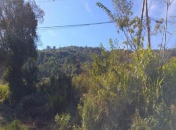 Terreno · Terreno, Linha Brasil, Nova Petrópolis, RS