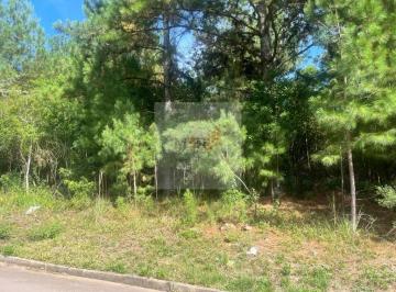 Foto 01 · Terreno 1.189m² Nova Petrópolis | Linha Imperial | Amplo e Pronto para Construir
