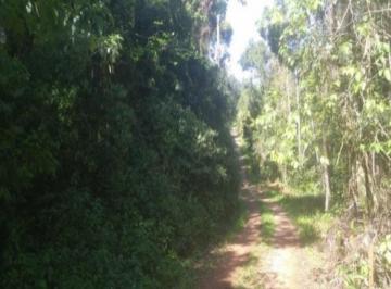 Estrada de acesso a área · Area, Linha Pirajá Alta, Nova Petrópolis, RS