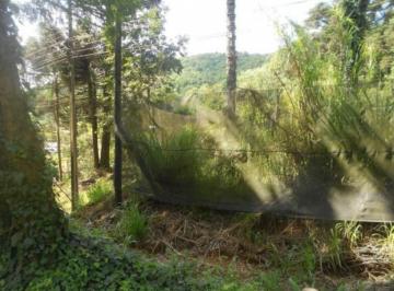 Comercial · 2500m² · Terreno, Pia, Nova Petrópolis, RS