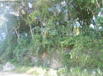 Foto 03 · Terreno, Juriti, Nova Petrópolis, RS