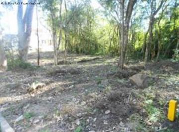 Foto 03 · Terreno, Juriti, Nova Petrópolis, RS