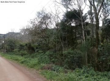 Frente Ã¡rea de terras · Area, Linha Pirajá, Nova Petrópolis, RS
