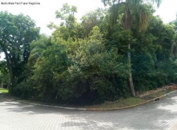 Foto 02 · Terreno, Juriti, Nova Petrópolis, RS
