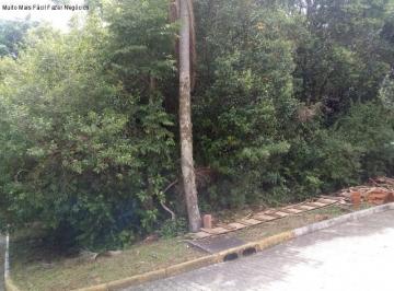 Foto 02 · Terreno, Juriti, Nova Petrópolis, RS