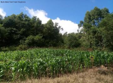 Foto 01 · Terreno, Germânia, Nova Petrópolis, RS