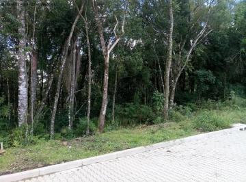 Foto 01 · Terreno, Linha Imperial, Nova Petrópolis, RS