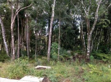 Foto 01 · Terreno, Linha Imperial, Nova Petrópolis, RS
