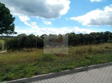 Foto 01 · Terreno, Linha Imperial, Nova Petrópolis, RS