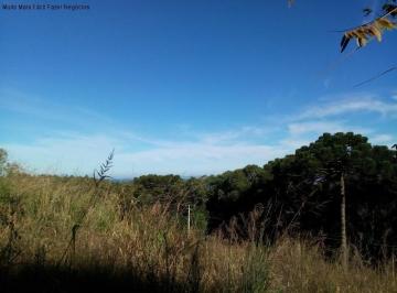 Foto 01 · Area, Linha Imperial, Nova Petrópolis, RS