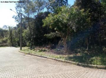 Foto 01 · Terreno, Juriti, Nova Petrópolis, RS