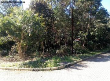 Foto 01 · Terreno, Juriti, Nova Petrópolis, RS